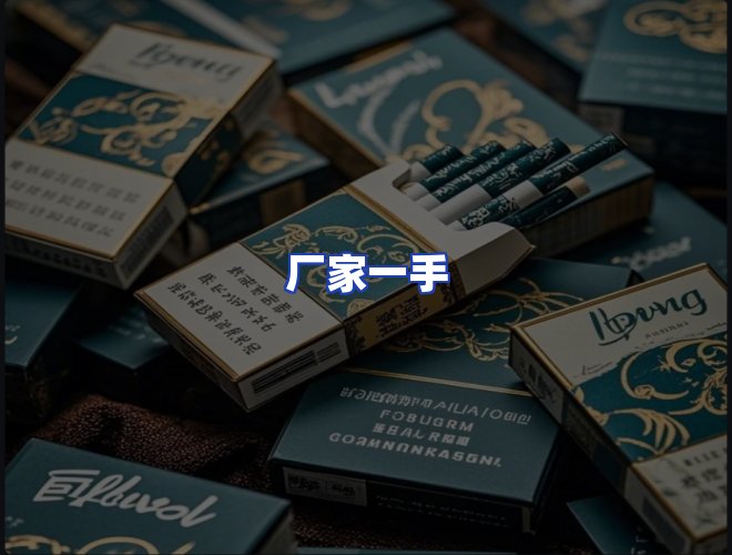 专业团队